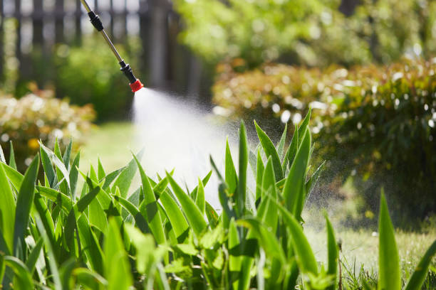 24/7 Emergency Rodent Control experts in Dillon, MT